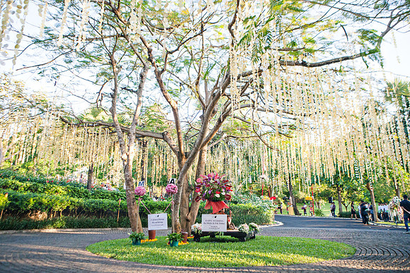 0931MAIKO_ARTHUR_BALI