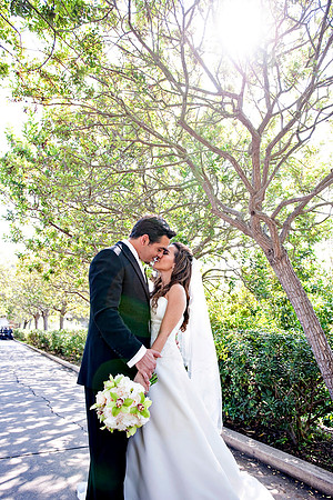 170Shamout